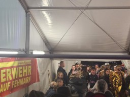 INSELKARNEVAL 2026 (ffburg)